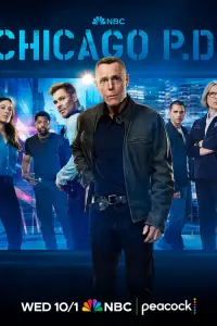 Постер новости