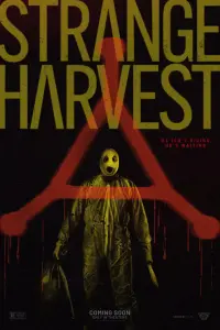 Постер новости